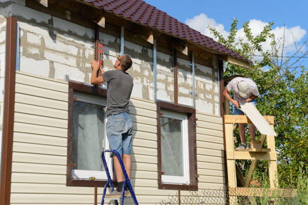 Best Brick Veneer Siding  in Timberlake, VA